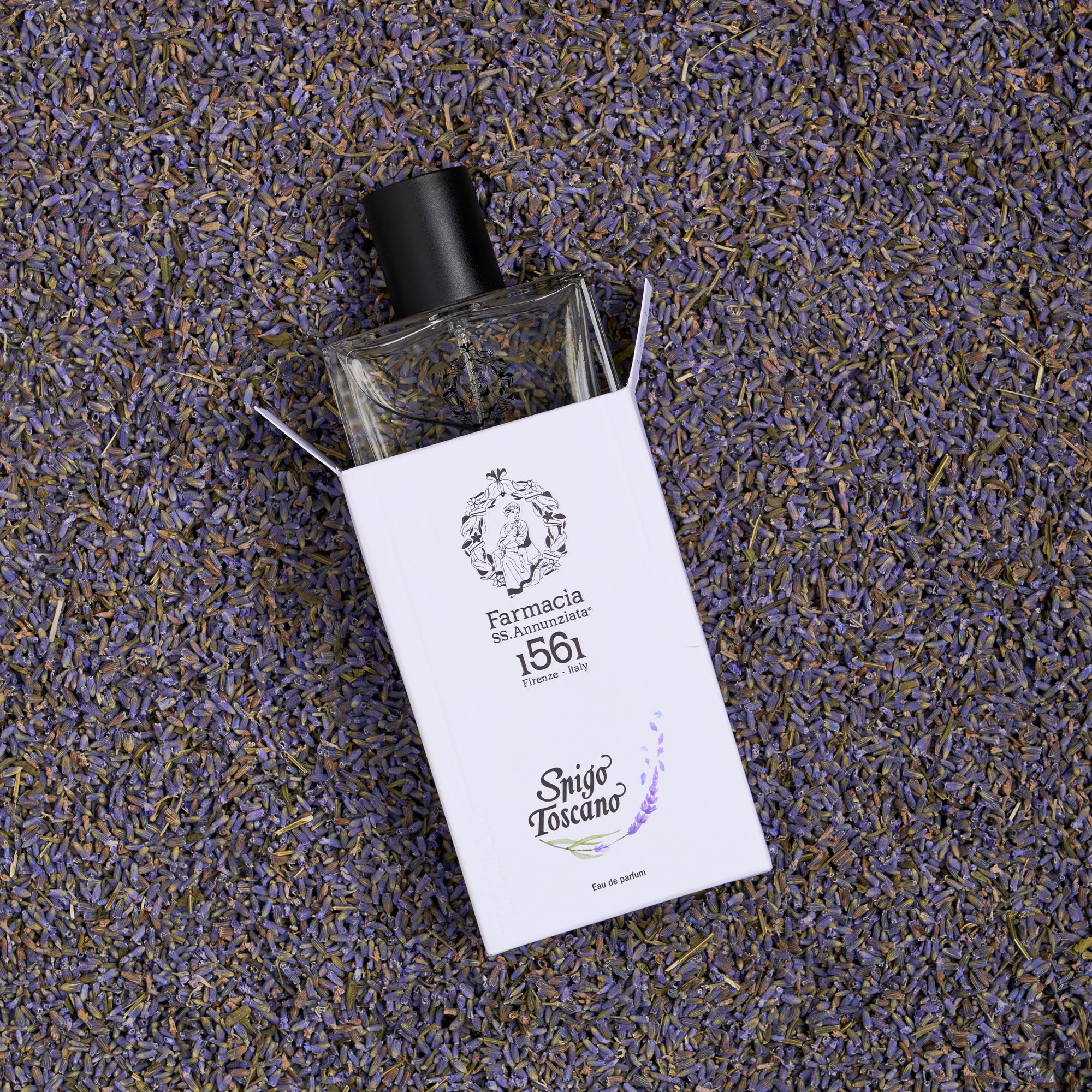 lavanda perfume